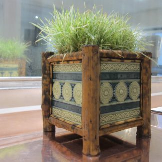 Mintons bamboo planters