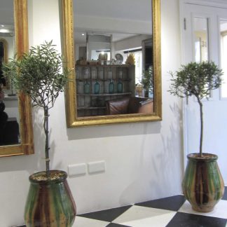 Warm gilt ogee mirror