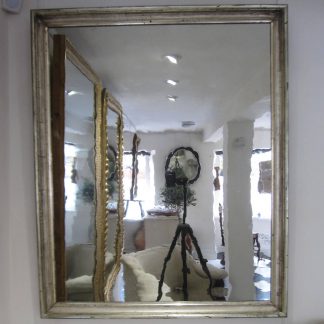 Special distorted mirror
