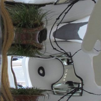 Fairground mirror